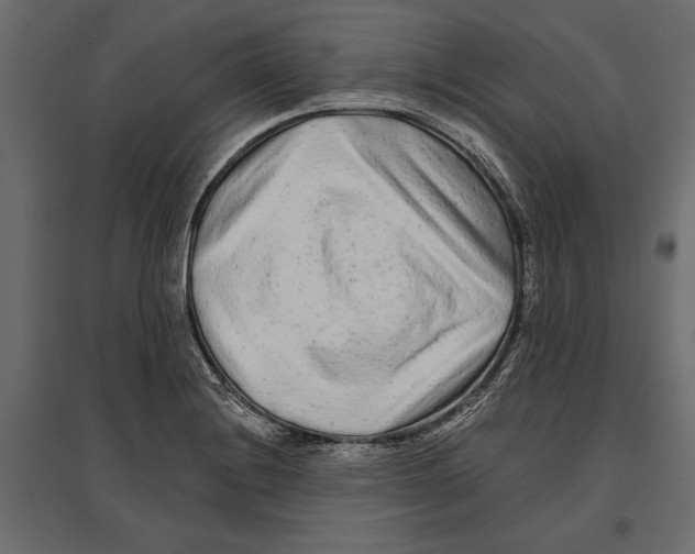 X0000096991228200803071046