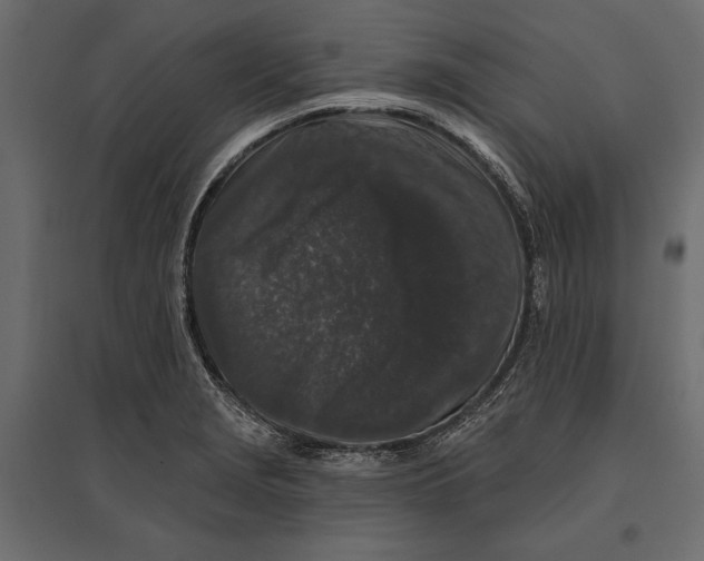 X0000096991229200803071046