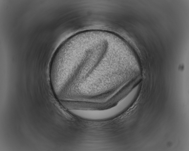 X0000096991230200803071046