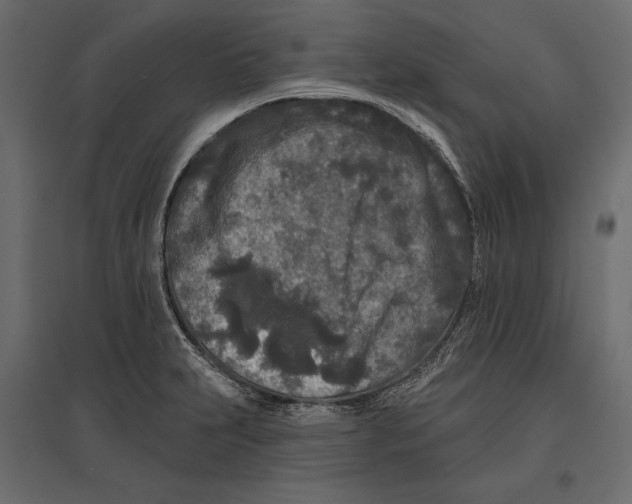 X0000096991231200803071046