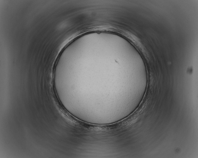 X0000096991234200803071046