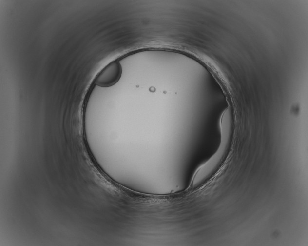 X0000096991238200803071046