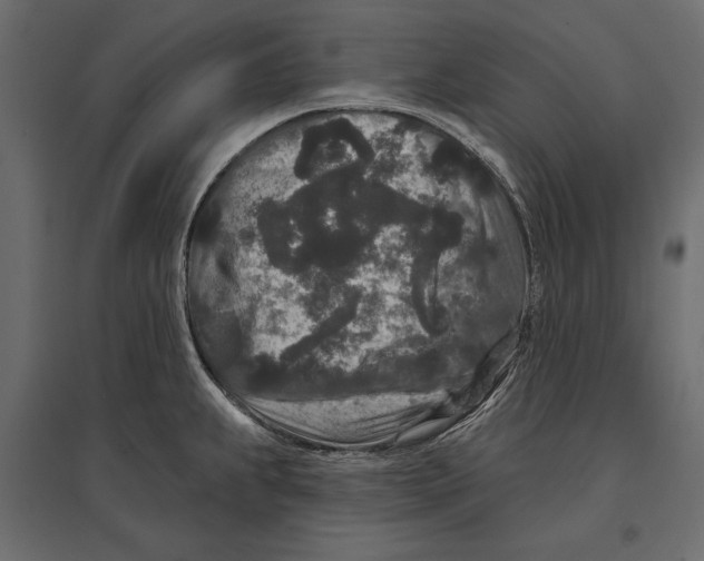 X0000096991239200803071046