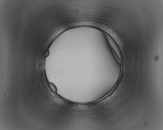 X0000096991241200803071046