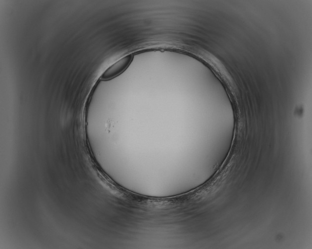 X0000096991242200803071046