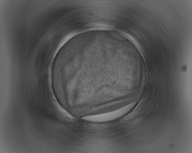 X0000096991243200803071046