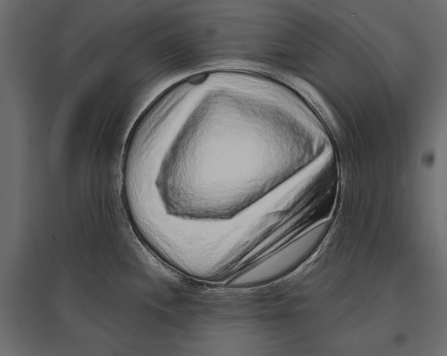 X0000096991244200803071046