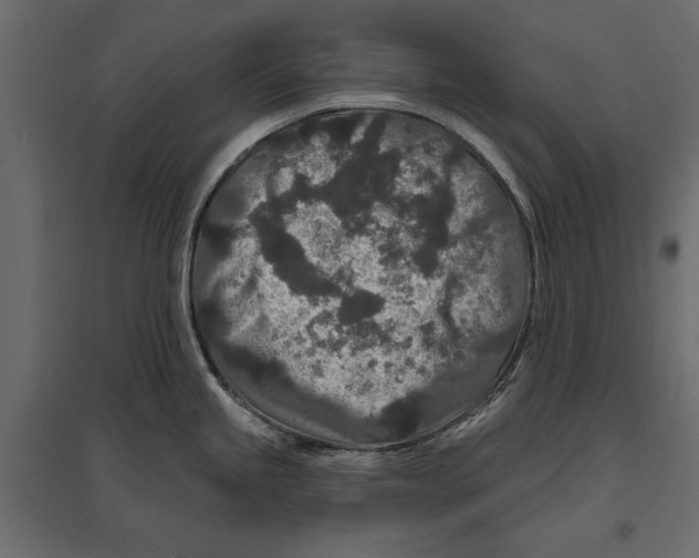 X0000096991245200803071046