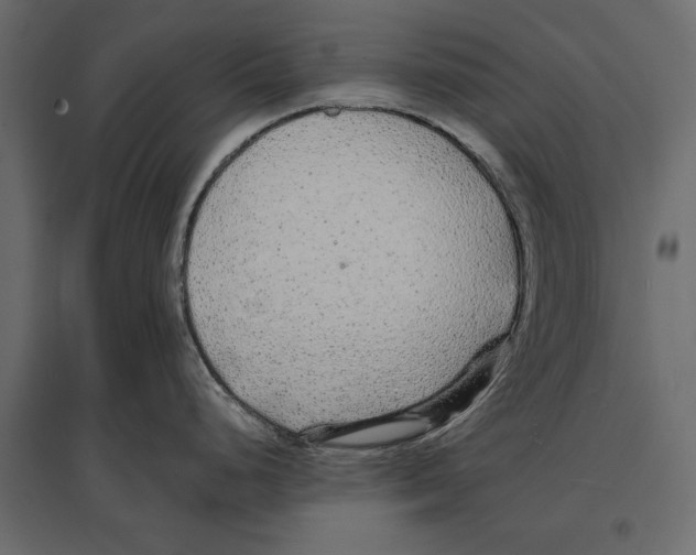 X0000096991248200803071046