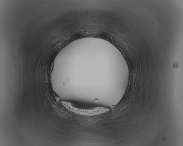 X0000096991250200803071045