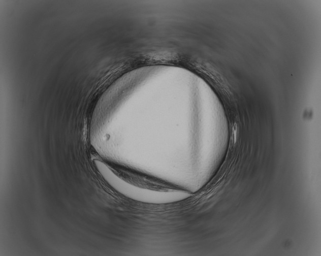 X0000096991251200803071045