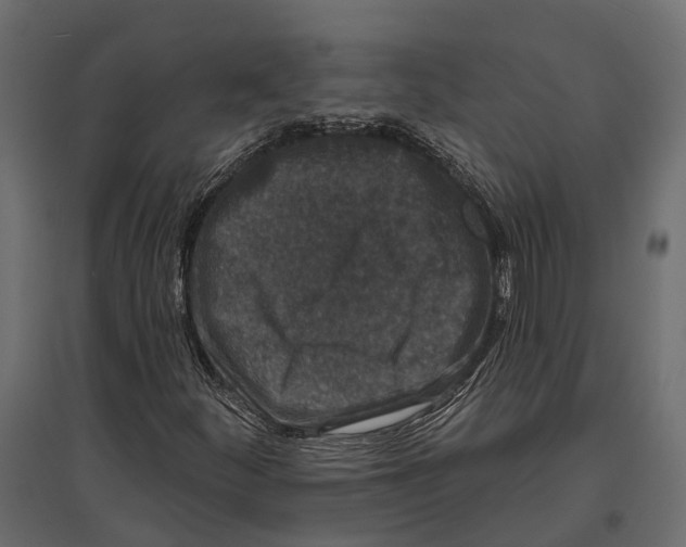 X0000096991252200803071045