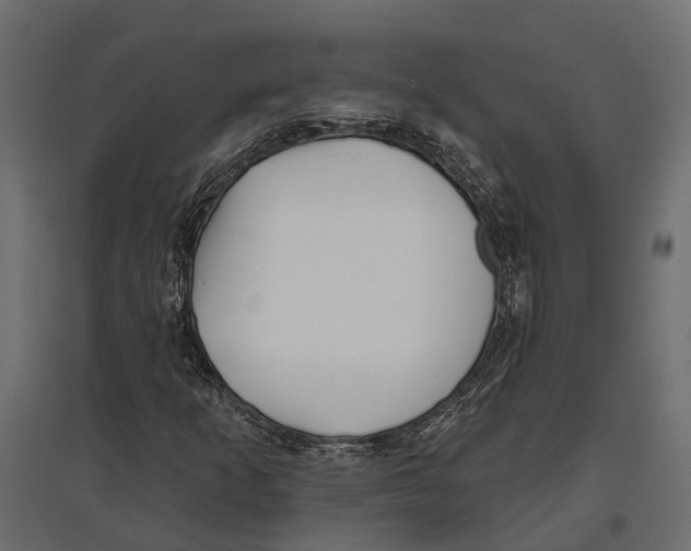 X0000096991253200803071045