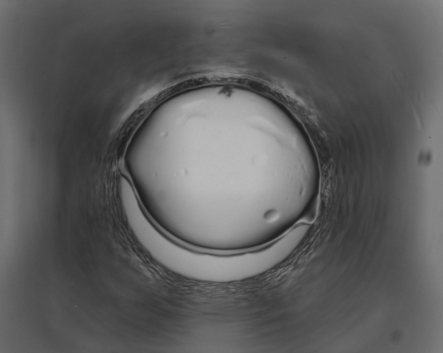 X0000096991255200803071045