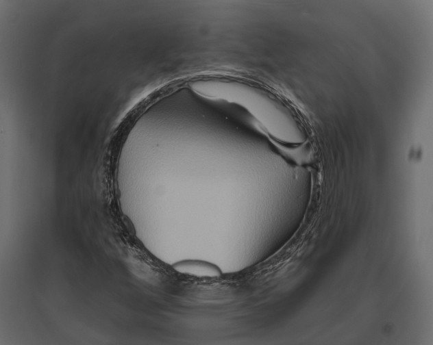 X0000096991256200803071045