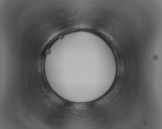 X0000096991258200803071045