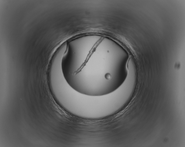 X0000096991260200803071045