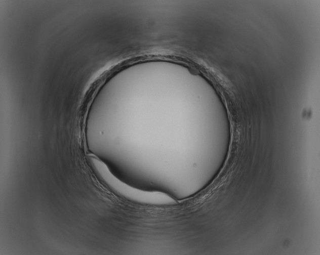 X0000096991262200803071045