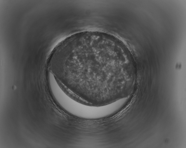 X0000096991263200803071045