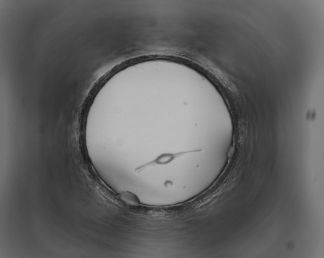 X0000096991264200803071045