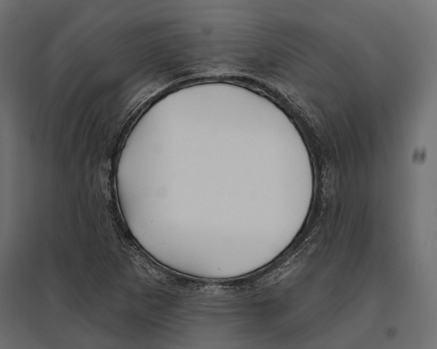 X0000096991265200803071045