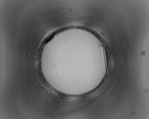 X0000096991266200803071045