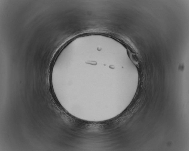 X0000096991268200803071045