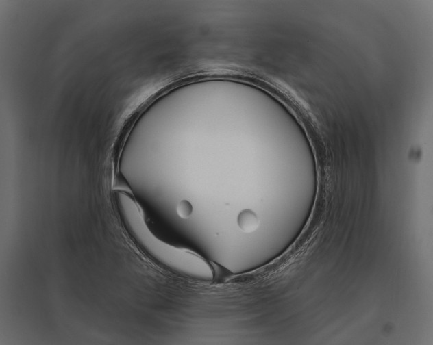 X0000096991269200803071045