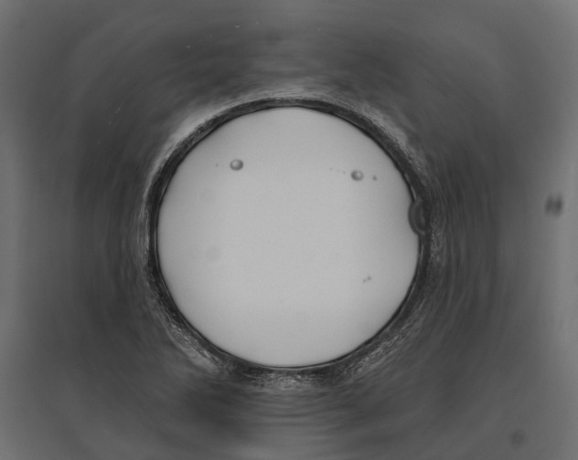 X0000096991270200803071045