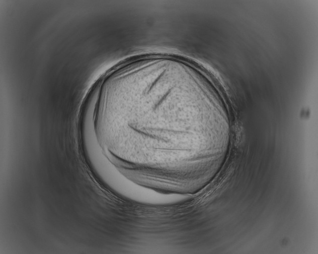 X0000096991271200803071045