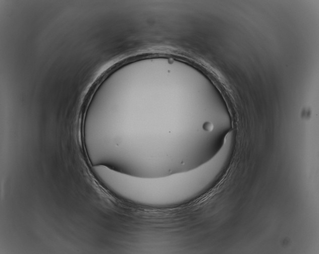 X0000096991272200803071045