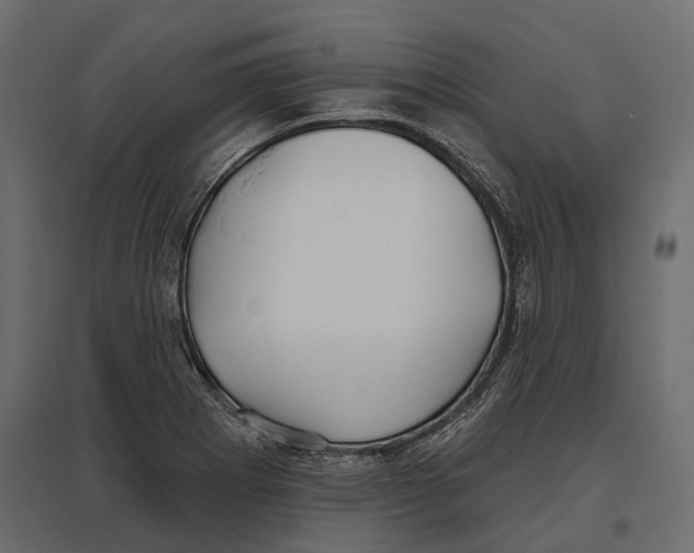 X0000096991273200803071045