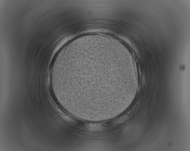 X0000096991274200803071045