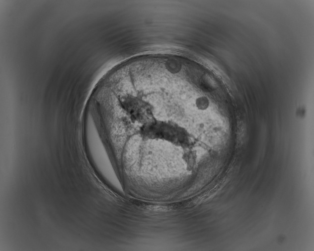 X0000096991275200803071045