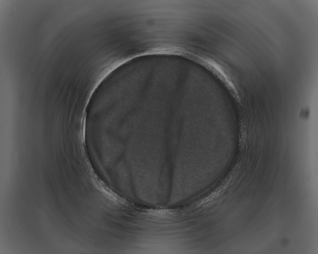 X0000096991276200803071045