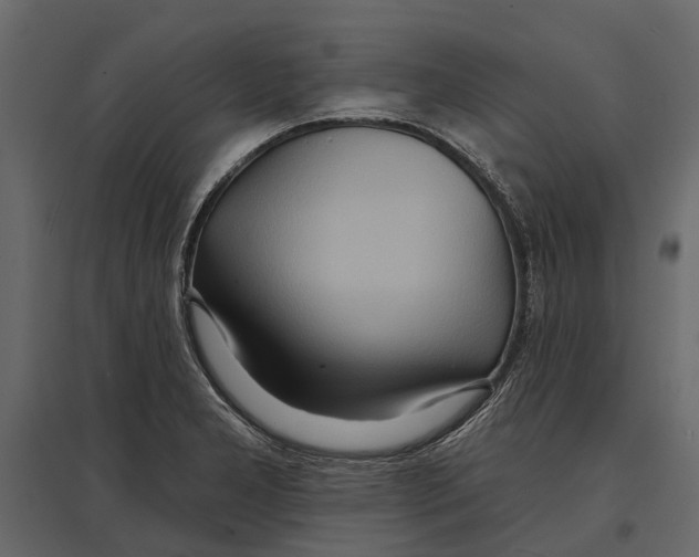 X0000096991277200803071045