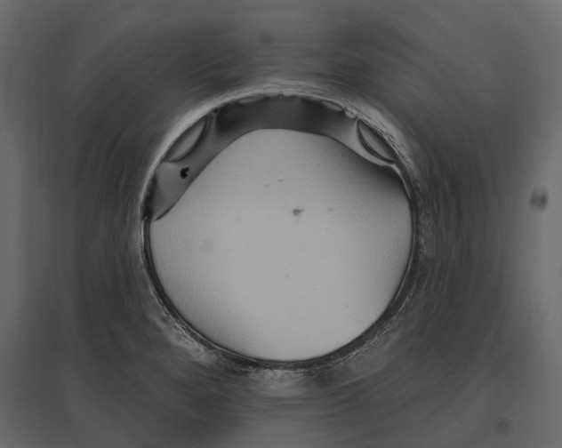 X0000096991280200803071045