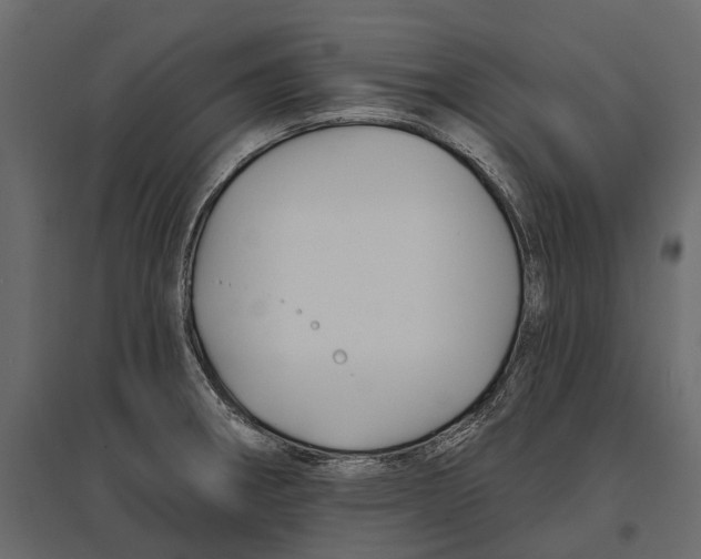 X0000096991282200803071045