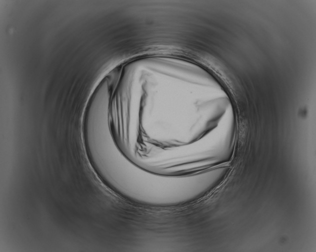 X0000096991283200803071045