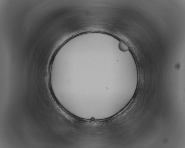 X0000096991286200803071045