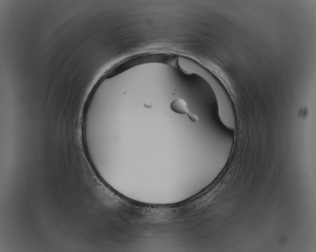 X0000096991288200803071045