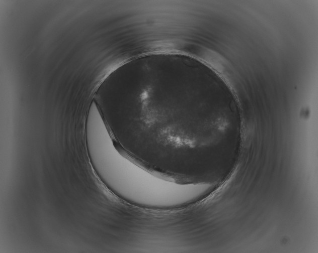 X0000096991289200803071045