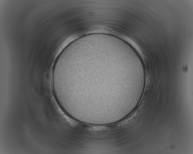 X0000096991290200803071045