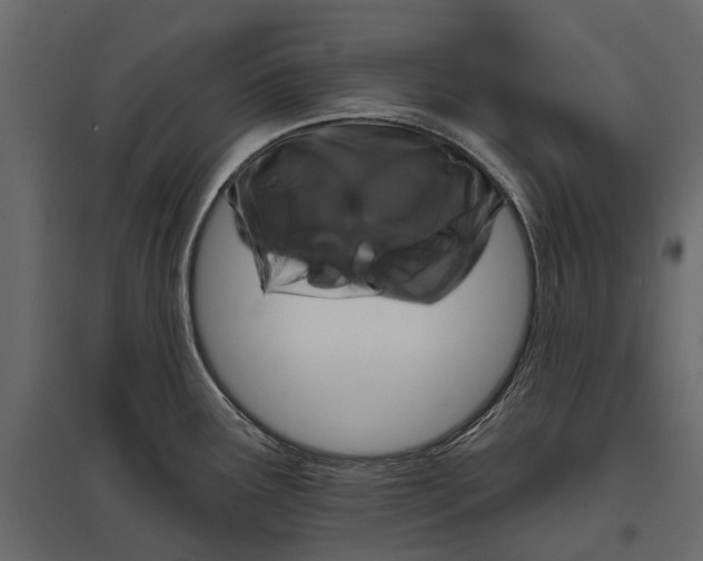 X0000096991291200803071045