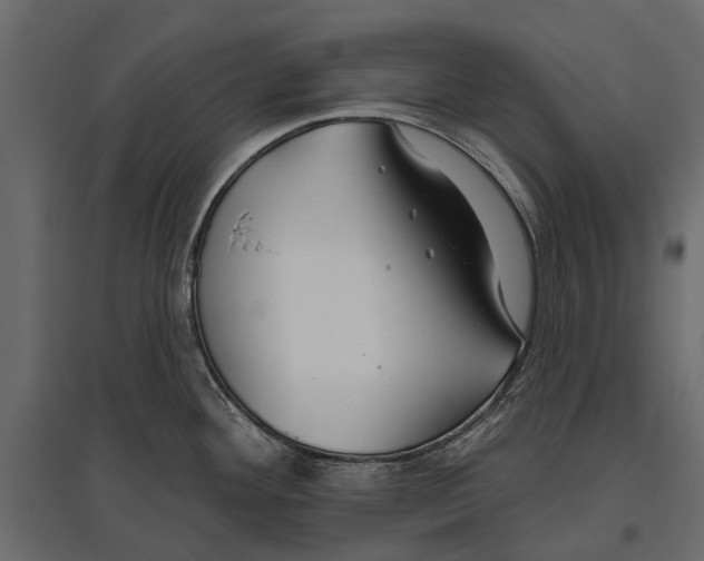 X0000096991292200803071044