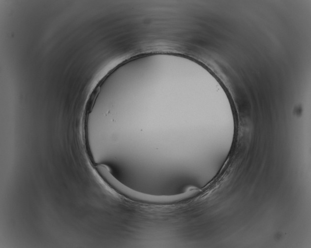 X0000096991293200803071044