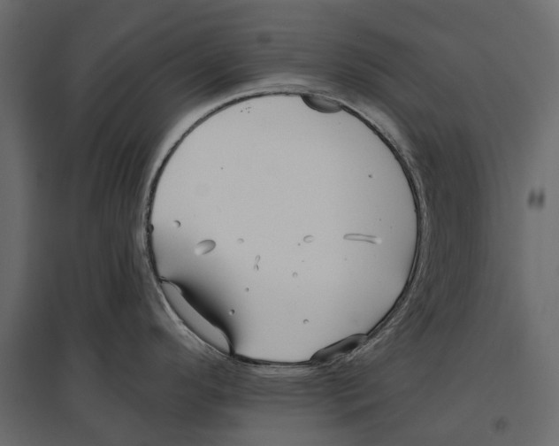 X0000096991296200803071044