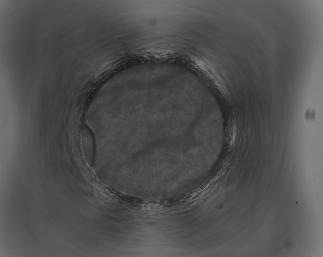 X0000096991297200803071044