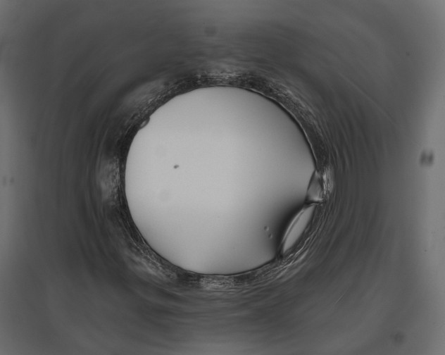 X0000096991299200803071044