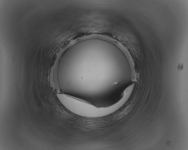 X0000096991300200803071044